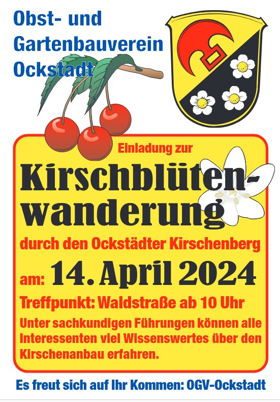 Kirschblütenwanderung Ockstadt 2024